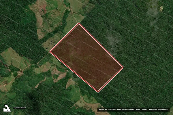 Imagem de satélite de Infração da Flora em Apuí - AM