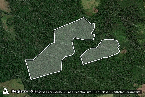 Imagem de satélite de Infração da Flora em Uruará - PA