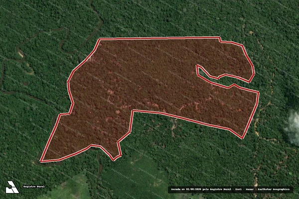 Imagem de satélite de Infração da Flora em Portel - PA