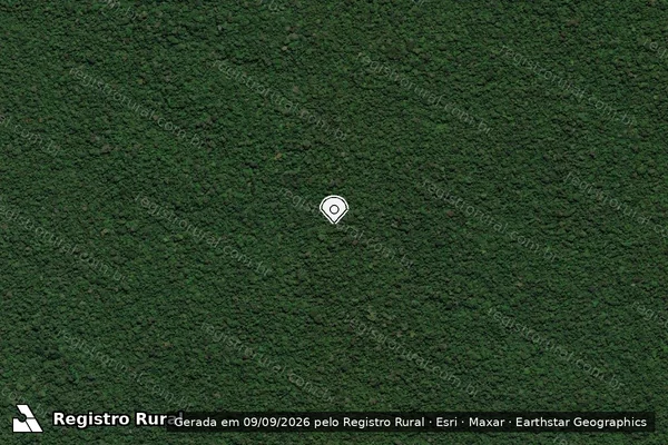 Imagem de satélite de Infração Ambiental em Colniza - MT (marcador da localização)