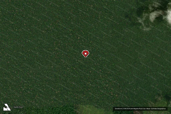 Imagem de satélite de Infração da Flora em Manicoré - AM (marcador da localização)