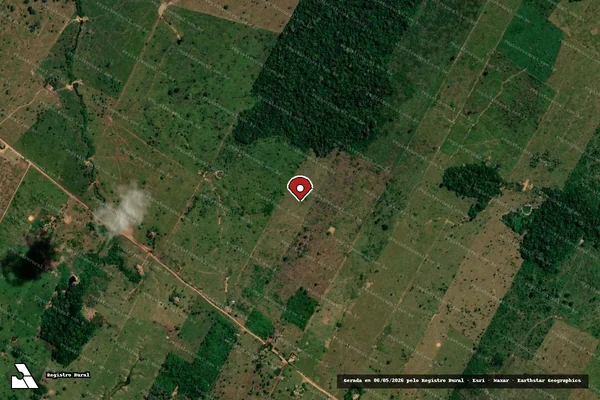Imagem de satélite de Infração da Flora em Porto Velho - RO (marcador da localização)