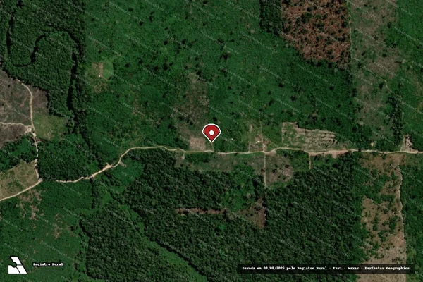 Imagem de satélite de Infração Ambiental em Candeias do Jamari - RO (marcador da localização)