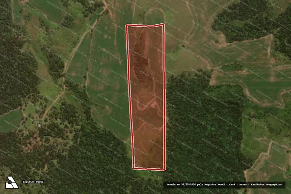 Imagem de satélite de Infração Ambiental em Pinhão - PR