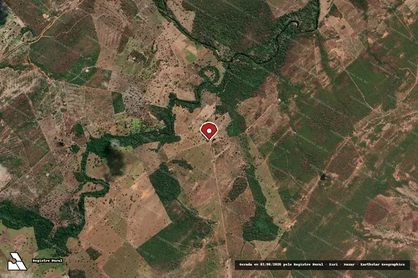 Imagem de satélite — Embargo IBAMA — Infração Ambiental - Flores de Goiás/GO