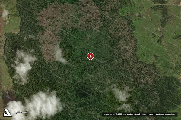 Imagem de satélite de Infração Ambiental em Colniza - MT (marcador da localização)
