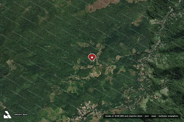 Imagem de satélite — Embargo IBAMA — Infração de Unidades de Conservação(Não Classificada-Móvel) — Paraty/RJ