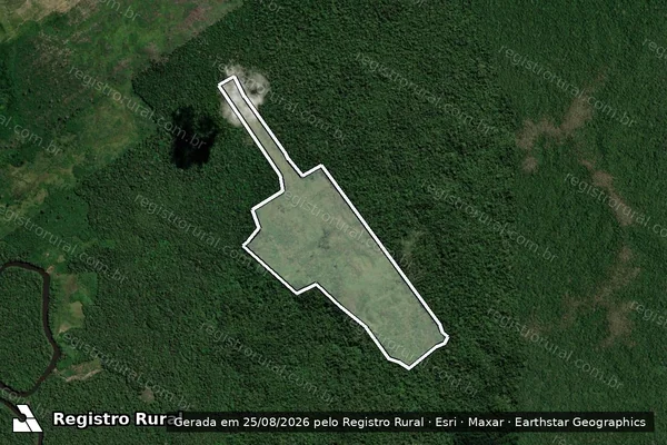 Imagem de satélite — Embargo Ambiental - Apuí/AM
