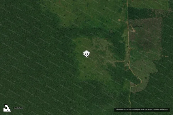 Imagem de satélite de Infração da Flora em Canutama - AM (marcador da localização)