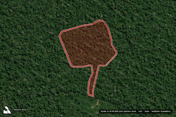 Imagem de satélite de Infração da Flora em Uruará - PA