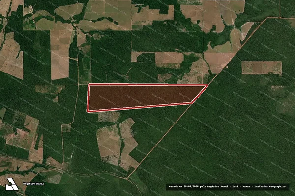 Imagem de satélite de Infração Ambiental em Brasília - DF
