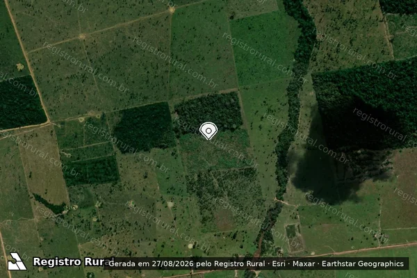 Imagem de satélite de Infração da Flora em Nova Mamoré - RO (marcador da localização)