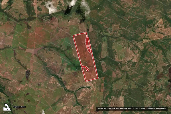 Imagem de satélite de Infração da Flora em Talismã - TO