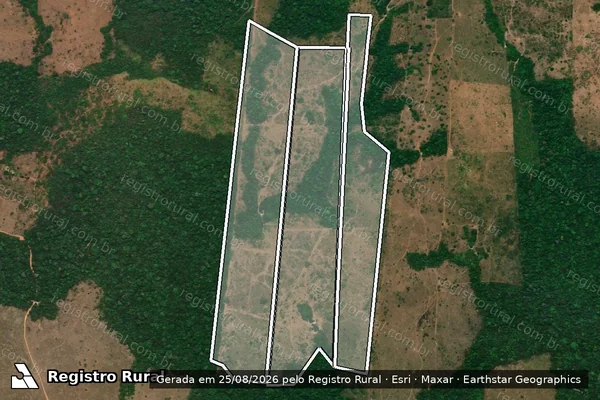 Imagem de satélite de Infração Ambiental em Cotriguaçu - MT