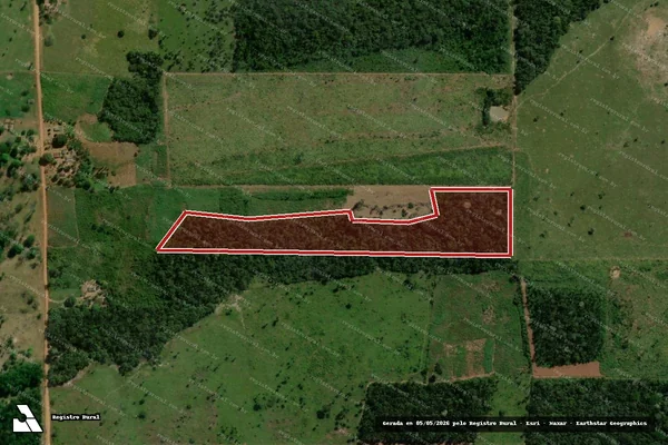 Imagem de satélite — Embargo Ambiental — Guajará-Mirim/RO