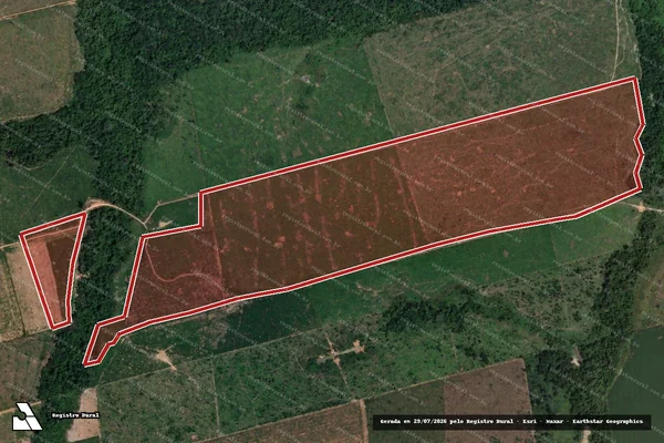 Imagem de satélite de Infração da Flora em Novo Progresso - PA