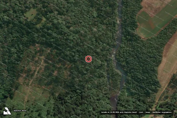 Imagem de satélite de Infração Ambiental em União da Vitória - PR