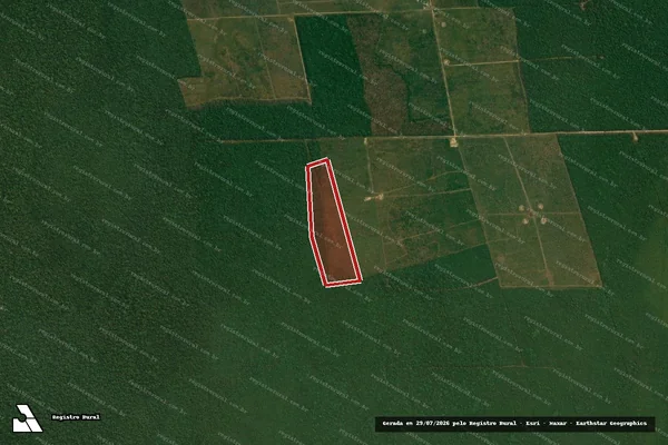 Imagem de satélite de Infração da Flora em Alta Floresta D'Oeste - RO