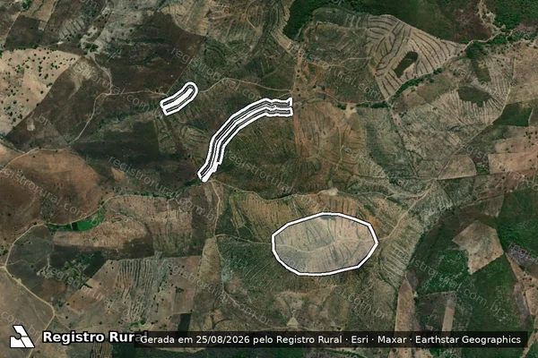 Imagem de satélite — Embargo IBAMA — Infração da Flora - Traipu/AL