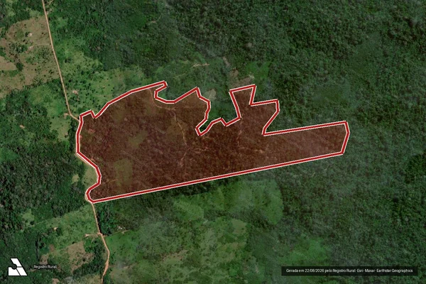 Imagem de satélite de Infração da Flora em Medicilândia - PA