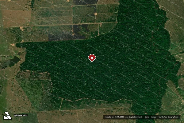 Imagem de satélite — Embargo IBAMA — Infração da Flora — Nova Mamoré/RO