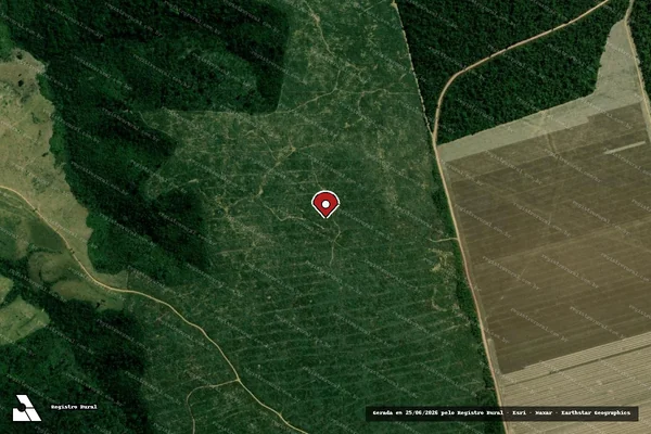 Imagem de satélite de Infração Ambiental em Rondon do Pará - PA (marcador da localização)