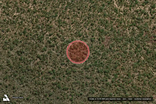 Imagem de satélite — Embargo IBAMA — Infração da Flora — Guadalupe/PI