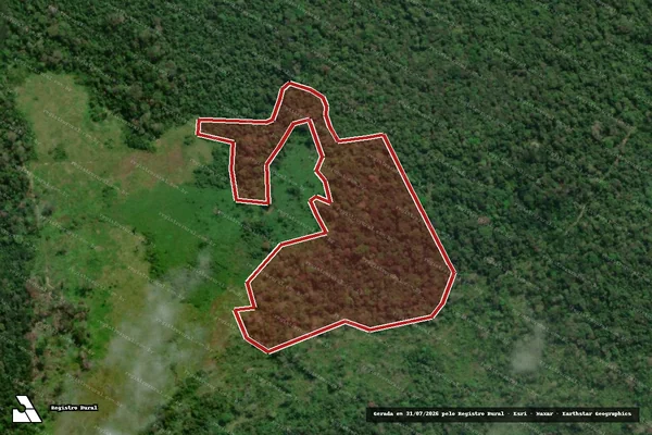 Imagem de satélite de Infração da Flora em Caracaraí - RR
