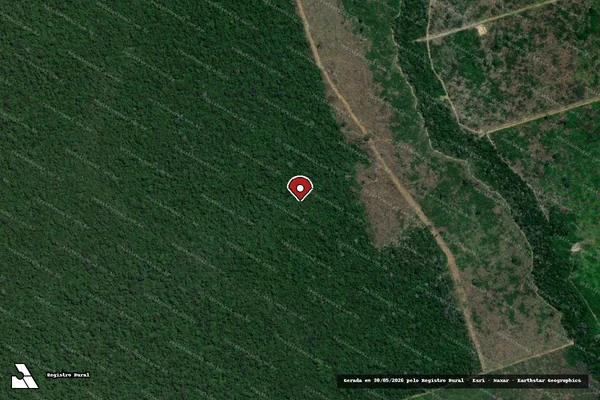Imagem de satélite de Infração da Flora em Lábrea - AM (marcador da localização)