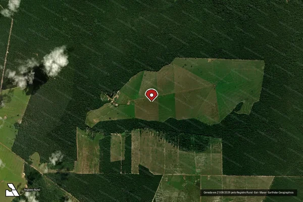 Imagem de satélite de Infração da Flora em Vilhena - RO (marcador da localização)
