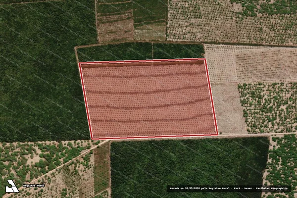 Imagem de satélite — Embargo IBAMA — Infração da Flora — Bela Cruz/CE