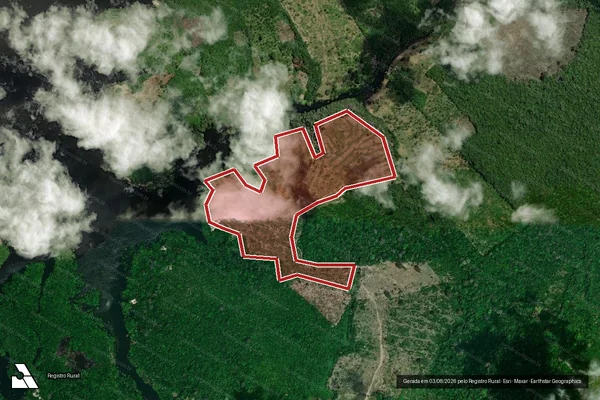 Imagem de satélite de Infração da Flora em Parintins - AM