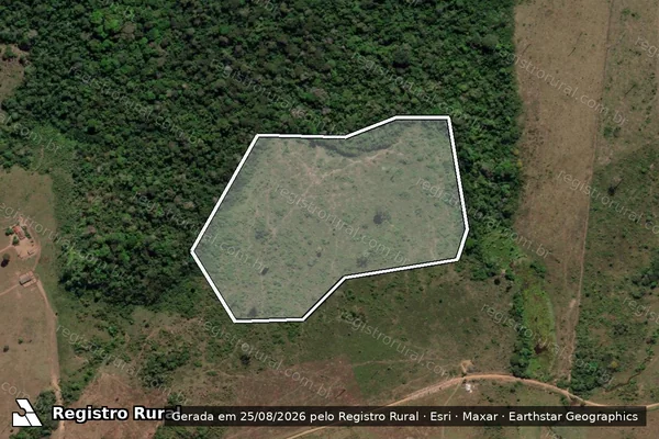 Imagem de satélite de Infração da Flora em Altamira - PA