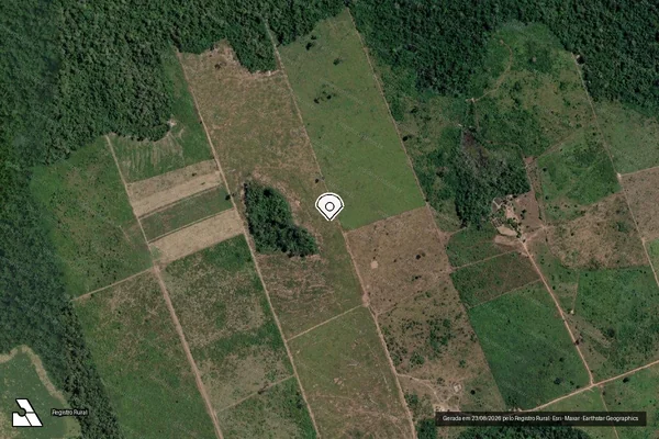 Imagem de satélite de Infração da Flora em Novo Progresso - PA (marcador da localização)