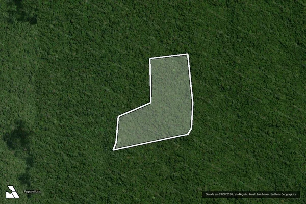 Imagem de satélite de Infração da Fauna em Portel - PA