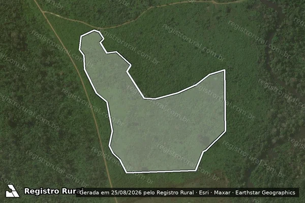 Imagem de satélite de Infração da Flora em Novo Progresso - PA