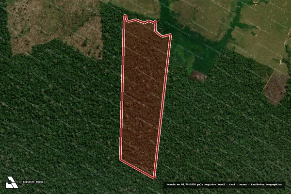 Imagem de satélite de Infração da Flora em Lábrea - AM