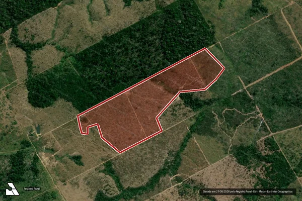Imagem de satélite de Infração da Flora em Colniza - MT