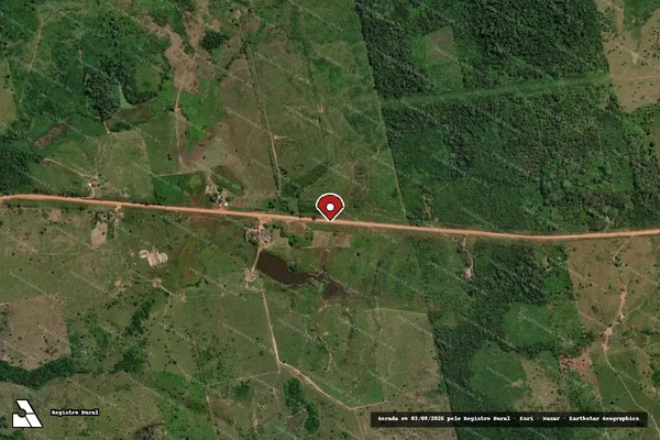 Imagem de satélite de Infração da Flora em Placas - PA (marcador da localização)