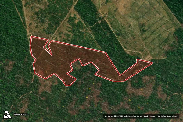 Imagem de satélite de Infração da Flora em Colíder - MT