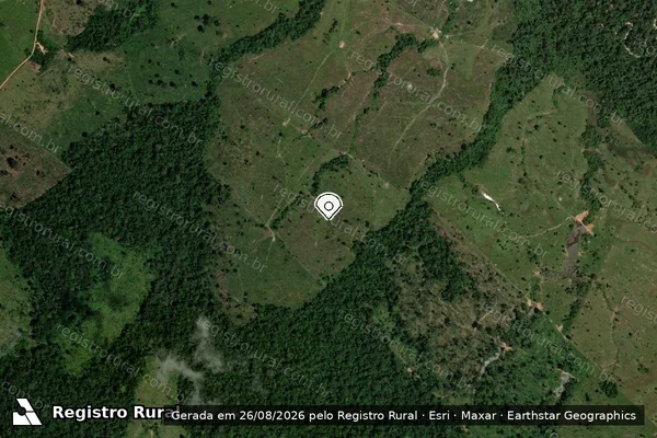 Imagem de satélite de Infração da Flora em Boca do Acre - AM (marcador da localização)