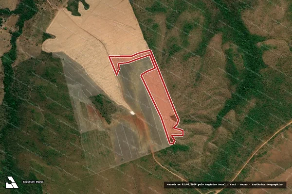 Imagem de satélite — Embargo IBAMA — Infração da Flora — Tocantínia/TO