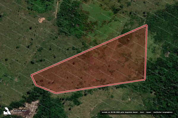 Imagem de satélite de Infração da Flora em São Félix do Xingu - PA