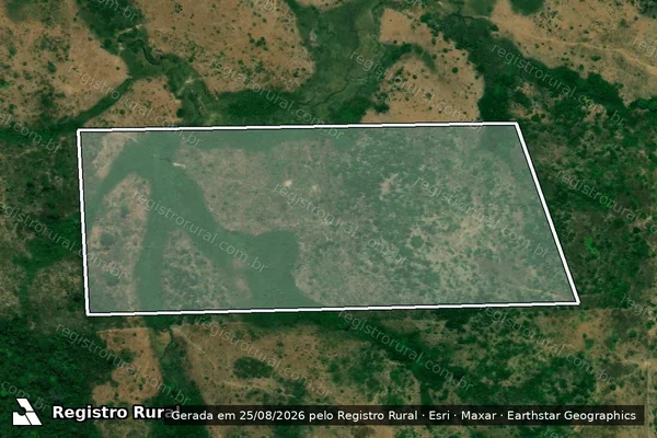 Imagem de satélite de Infração da Flora em Pacajá - PA