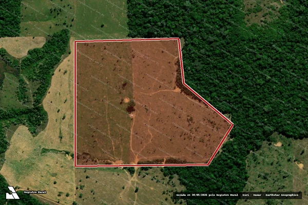 Imagem de satélite — Embargo IBAMA — Infração da Flora — Vale do Anari/RO