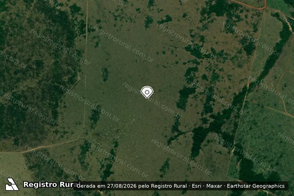 Imagem de satélite de Infração da Flora em Lábrea - AM (marcador da localização)