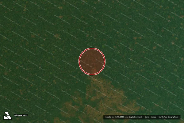 Imagem de satélite — Embargo IBAMA — Infração Ambiental — Eirunepé/AM