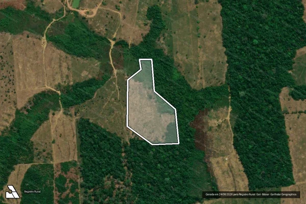 Imagem de satélite de Infração da Flora em Machadinho D'Oeste - RO