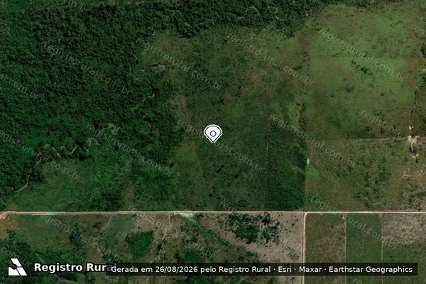 Imagem de satélite de Infração da Flora em Altamira - PA (marcador da localização)