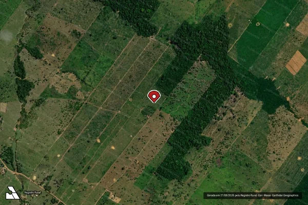 Imagem de satélite de Infração da Flora em Porto Velho - RO (marcador da localização)